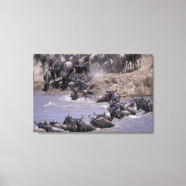 Afrika, Kenya, Masai Mara nationalpark. Canvastryck (Framsida)