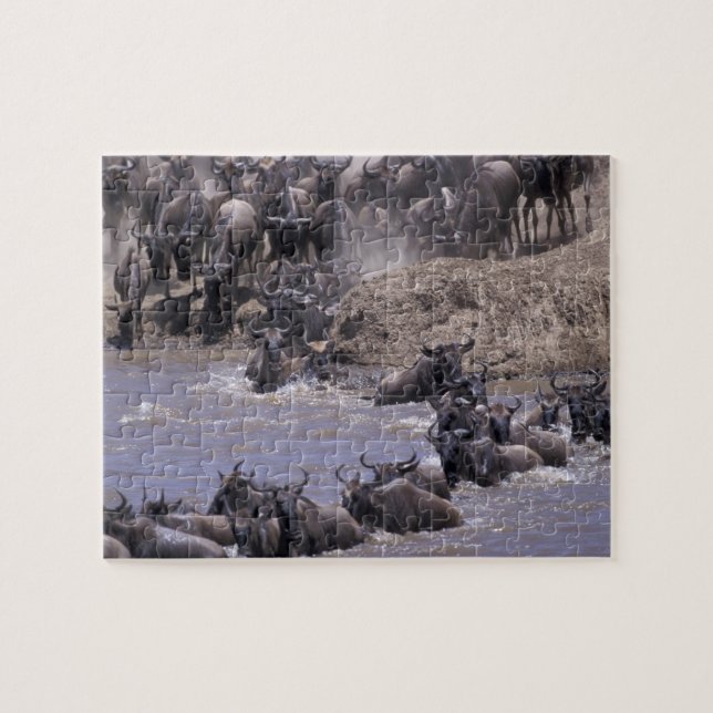 Afrika, Kenya, Masai Mara nationalpark. Pussel (Horisontell)