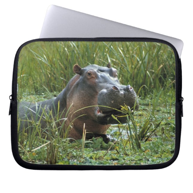 Afrika, Kenya, Masai Mara NR. En flodhästmoder Laptop Fodral (Framsidan)