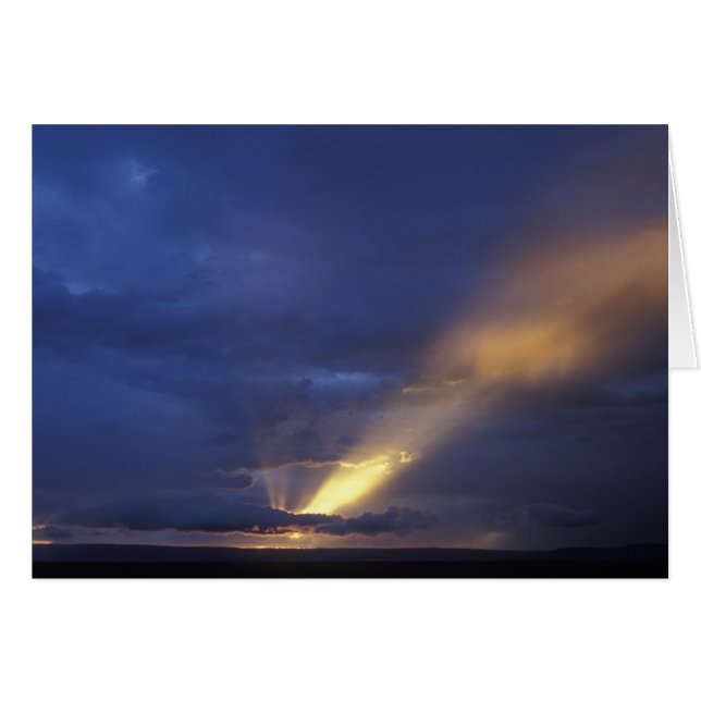 Afrika, Kenya, Masai Mara viltreservat, Miljö 2 Hälsningskort (Framsidan Horizontal)