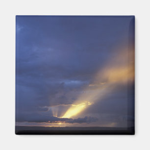 Afrika, Kenya, Masai Mara viltreservat, Miljö 2 Magnet