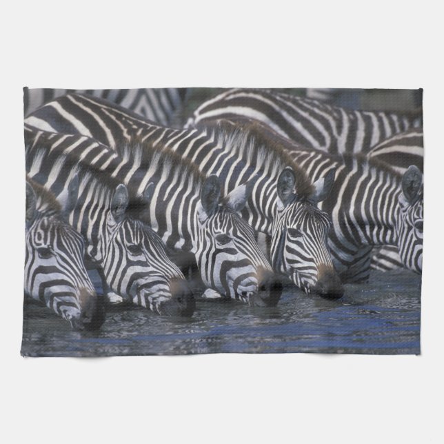 Afrika, Kenya, Masai Mara viltreservat, Slätter Kökshandduk (Horisontell)