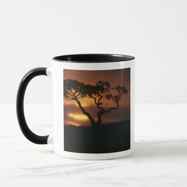 Afrika, Kenya, Masai Mara viltreservat, Solnedgång Mugg (Vänster)