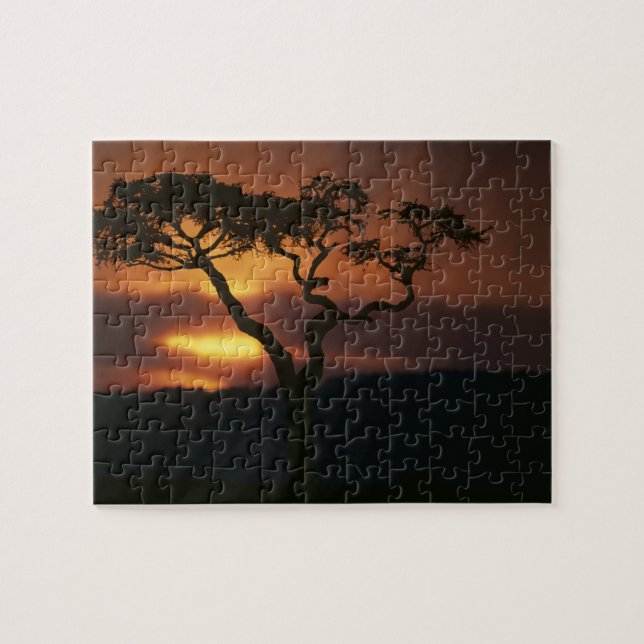 Afrika, Kenya, Masai Mara viltreservat, Solnedgång Pussel (Horisontell)