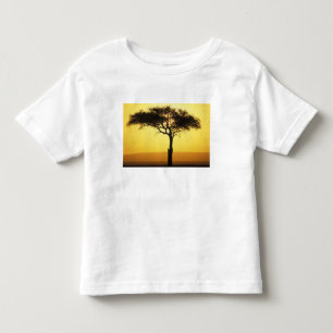 Afrika, Kenya, Masai Mara viltreservat, Uppgående Tee