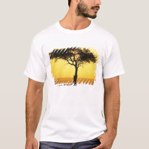 Afrika, Kenya, Masai Mara viltreservat, Uppgående Tee