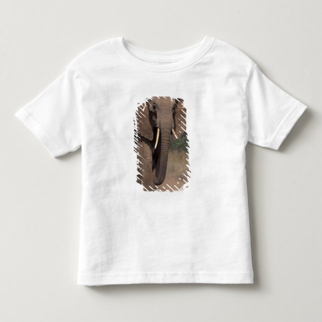 Afrika, Kenya, Nanyuki, Mpala. Afrikansk elefant. Tee Shirt (Framsida)