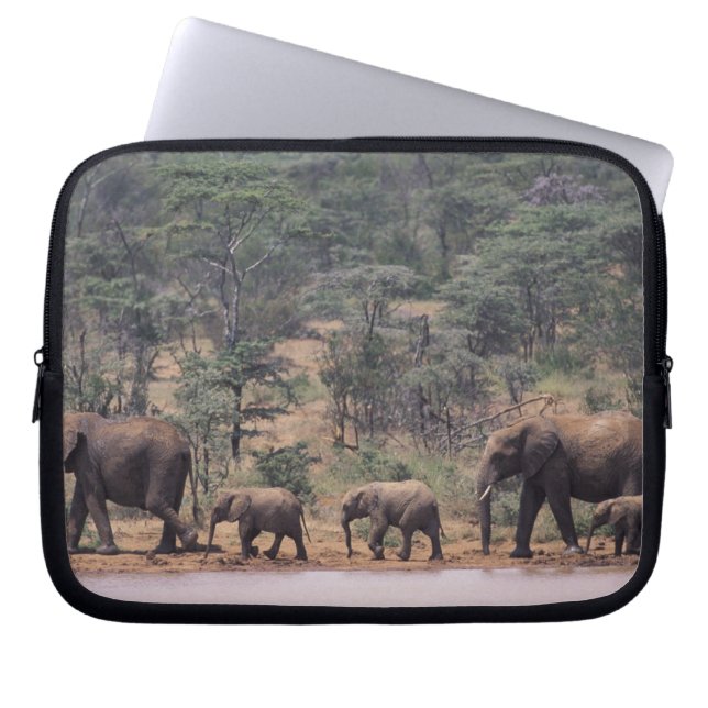 Afrika, Kenya, Nanyuki, Mpala. Afrikansk Laptop Sleeve (Framsidan)
