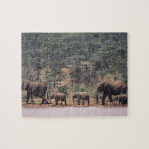 Afrika, Kenya, Nanyuki, Mpala. Afrikansk Pussel