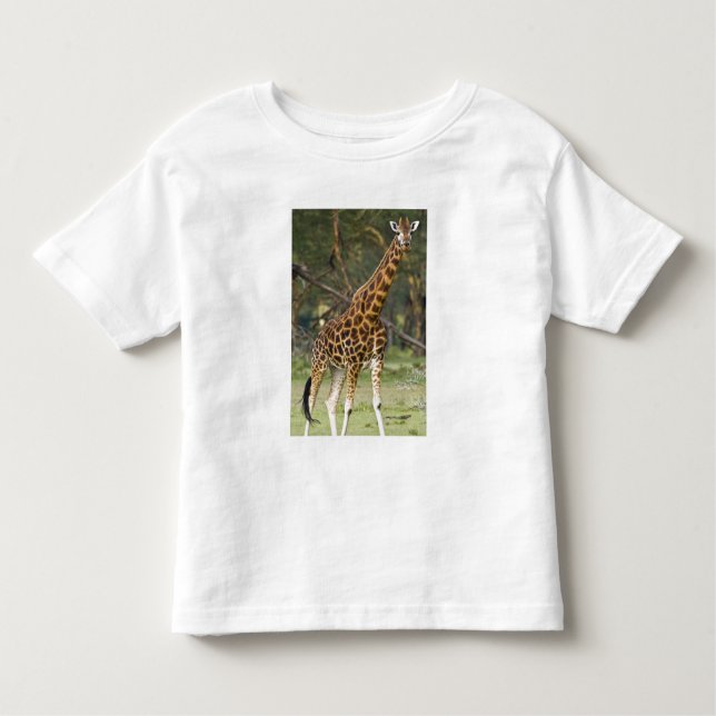 Afrika. Kenya. Rothschild's Giraffe vid Sjö 2 Tee Shirt (Framsida)