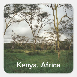Afrika Kenya vild mark Fyrkantigt Klistermärke
