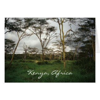 Afrika Kenya vild mark Hälsningskort