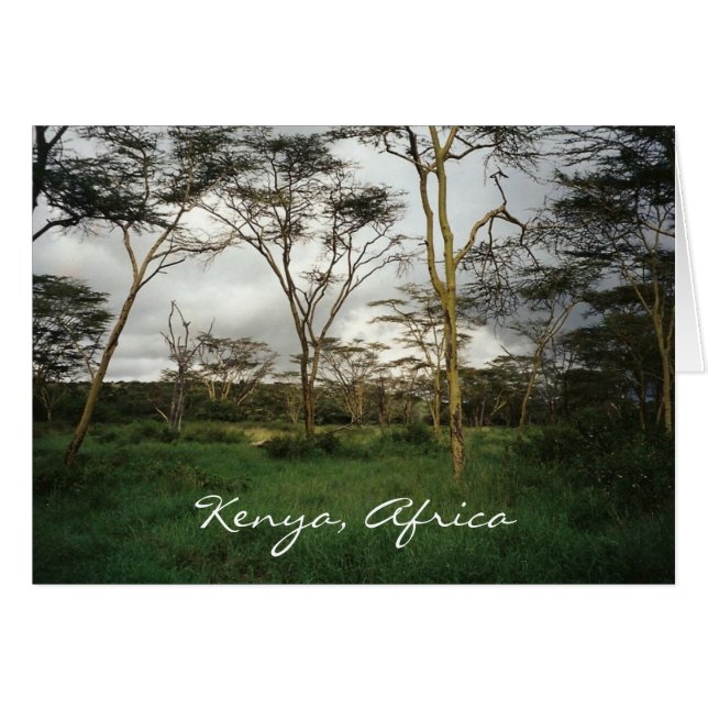 Afrika Kenya vild mark Hälsningskort (Framsidan Horizontal)