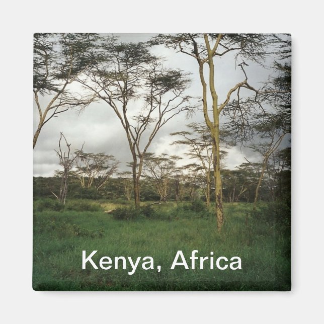 Afrika Kenya vild mark Magnet (Framsidan)