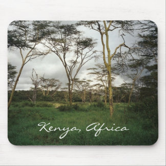 Afrika Kenya vild mark Musmatta