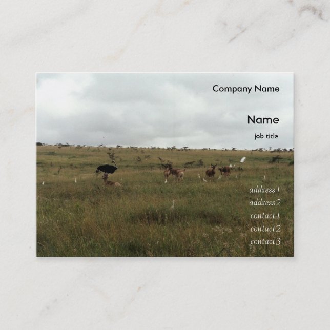 Afrika Kenya vilda djur Visitkort (Framsida)
