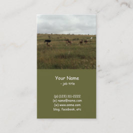 Afrika Kenya vilda djur Visitkort