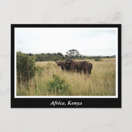 Afrika Kenya vilda djur Vykort