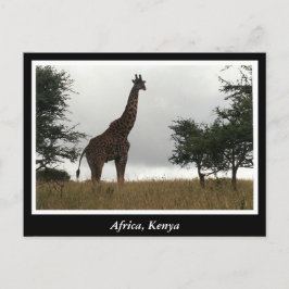 Afrika Kenya vilda djur Vykort