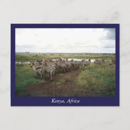 Afrika Kenya vilda djur Vykort