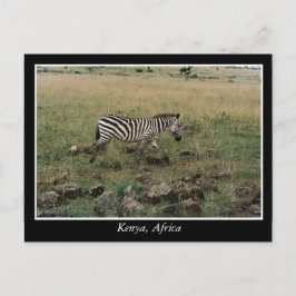 Afrika Kenya vilda djur Vykort