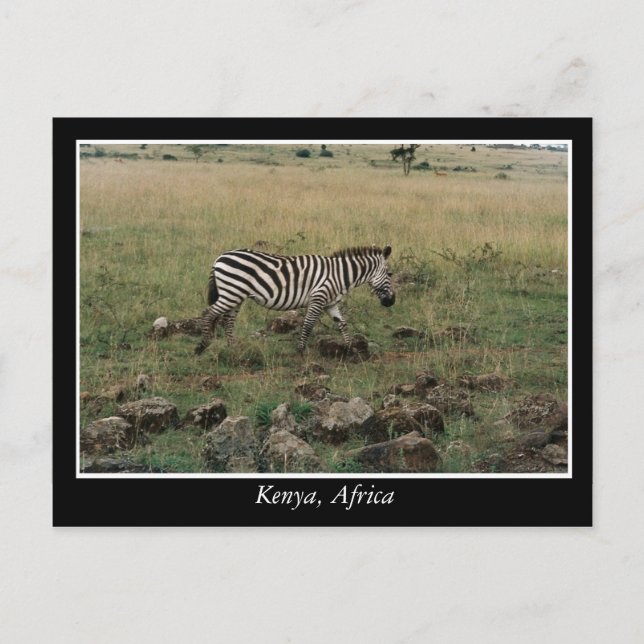 Afrika Kenya vilda djur Vykort (Framsida)