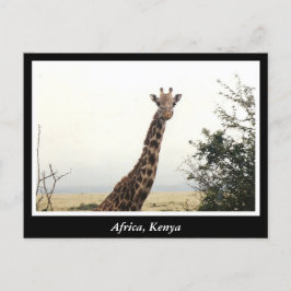 Afrika Kenya vilda djur Vykort