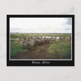 Afrika Kenya vilda djur Vykort