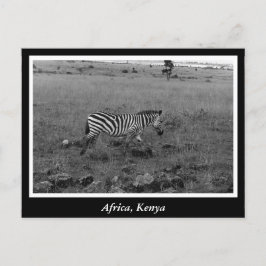 Afrika Kenya vilda djur Vykort
