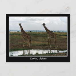 Afrika Kenya vilda djur Vykort