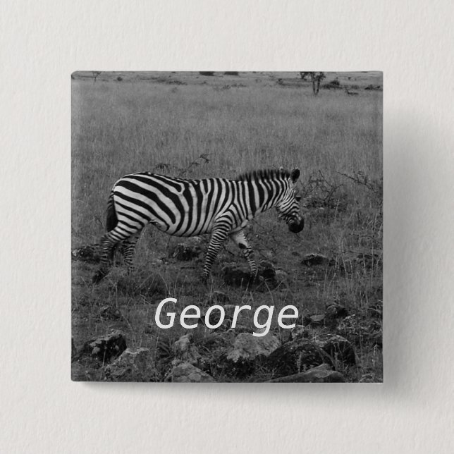 Afrika Kenya Zebra i det vilda Knapp (Framsida)