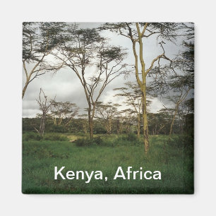 Afrika Kenyas vild Magnet
