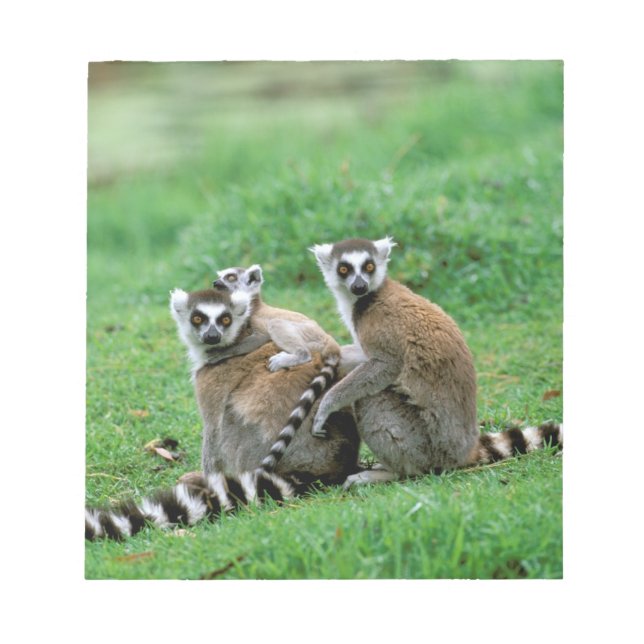 Afrika, Madagaskar, Antananarivo, Tsimbaza Anteckningsblock (Framsida)