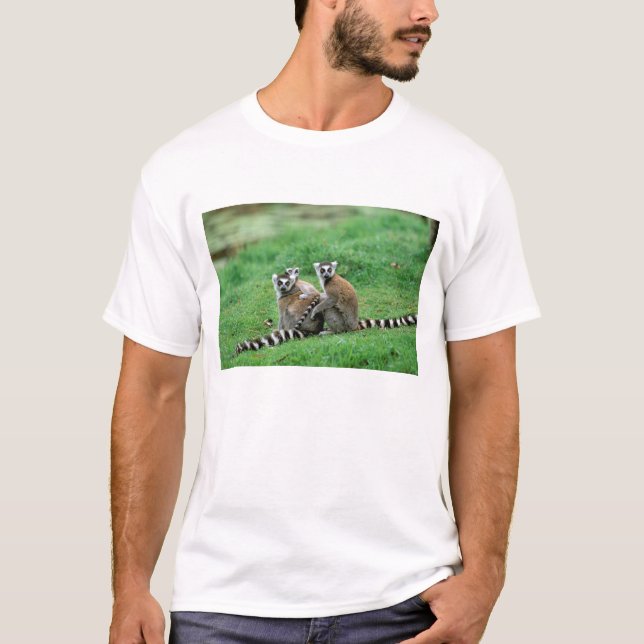 Afrika, Madagaskar, Antananarivo, Tsimbaza T-shirt (Framsida)