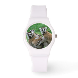 Afrika, Madagaskar, Antananarivo, Tsimbazaza Armbandsur