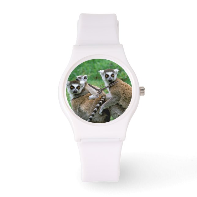 Afrika, Madagaskar, Antananarivo, Tsimbazaza Armbandsur (Framsida)