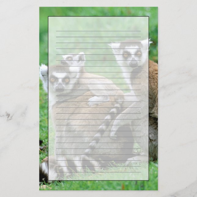 Afrika, Madagaskar, Antananarivo, Tsimbazaza Brevpapper (Framsida)