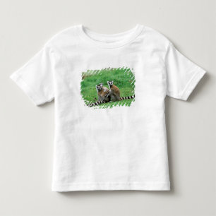 Afrika, Madagaskar, Antananarivo, Tsimbazaza Tee
