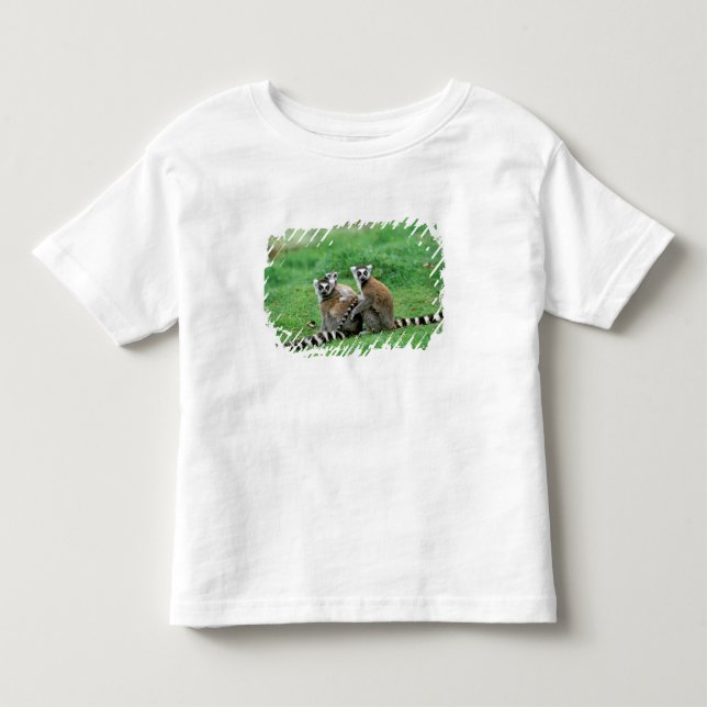 Afrika, Madagaskar, Antananarivo, Tsimbazaza Tee (Framsida)