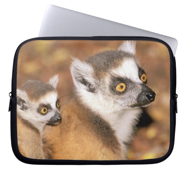 Afrika, Madagaskar, Berenty Private Reserve. Laptop Sleeve (Framsidan)