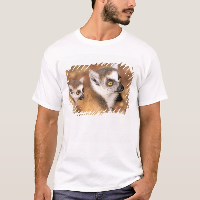 Afrika, Madagaskar, Berenty Private Reserve. T-shirt (Framsida)