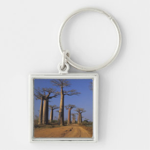 Afrika, Madagaskar, Morondava, Baobab Avenue. Fyrkantig Silverfärgad Nyckelring