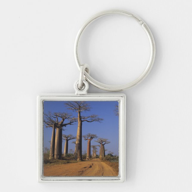 Afrika, Madagaskar, Morondava, Baobab Avenue. Fyrkantig Silverfärgad Nyckelring (Framsidan)