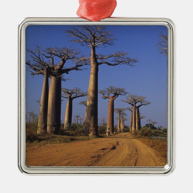 Afrika, Madagaskar, Morondava, Baobab Avenue. Julgransprydnad Metall (Framsidan)