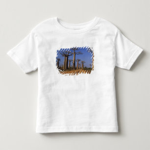 Afrika, Madagaskar, Morondava, Baobab Avenue. T-shirt