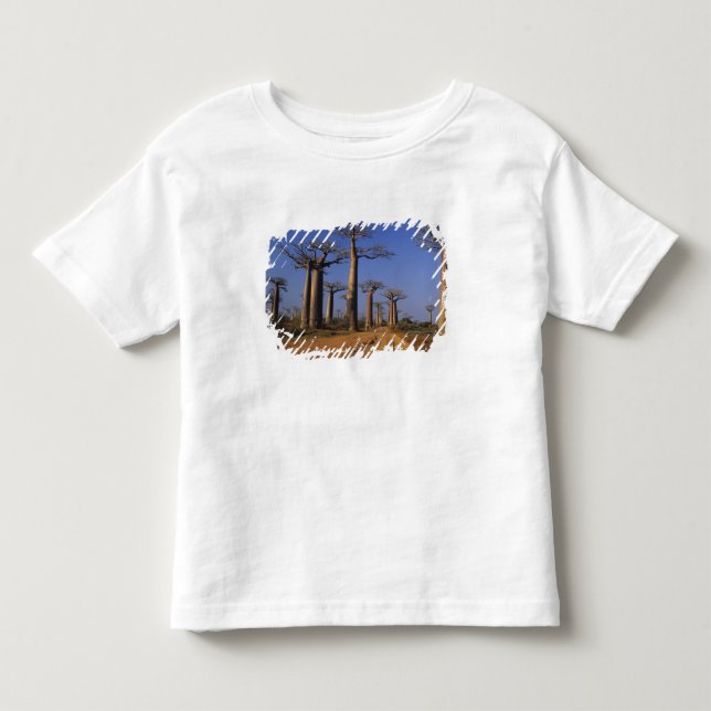 Afrika, Madagaskar, Morondava, Baobab Avenue. T-shirt (Framsida)