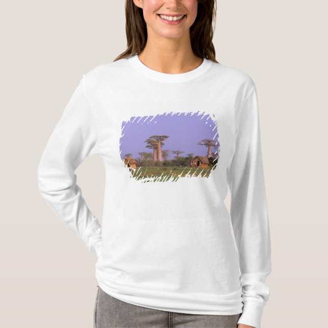 Afrika, Madagaskar, Morondava. Baobaber Tee Shirt (Framsida)