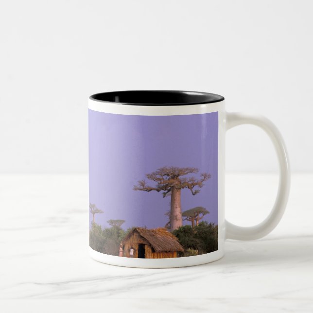 Afrika, Madagaskar, Morondava. Baobaber Två-Tonad Mugg (Höger)