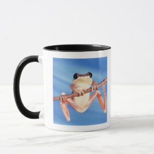 Afrika Mugg
