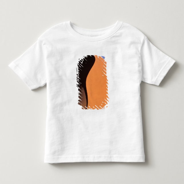 Afrika, Namibia, Kvällsljus på dyner, Tee Shirt (Framsida)